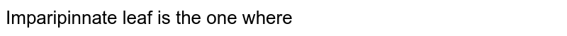 Imparipinnate leaf is the one where