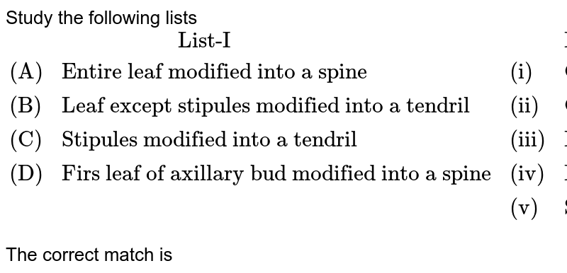 Study the following lists {:(," ""List-I",,"List-II"),("(A)","Entire leaf modified into a spine","(i)","Clematis"),("(B)","Leaf except stipules modified into a tendril","(ii)","Citrus"),("(C)","Stipules modified into a tendril","(iii)","Euphorbia"),("(D)","Firs leaf of axillary bud modified into a spine","(iv)","Lathyrus"),(,,"(v)","Smilax"):} The correct match is