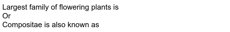 Largest family of flowering plants is Or Compositae is also known as