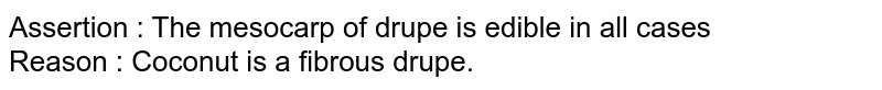 Assertion : The mesocarp of drupe is edible in all cases Reason : Coconut is a fibrous drupe.