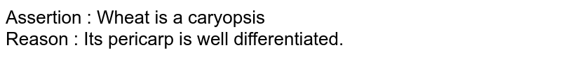Assertion : Wheat is a caryopsis Reason : Its pericarp is well differentiated.