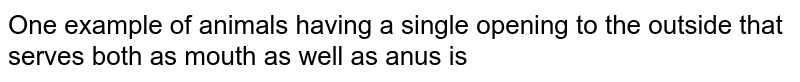 One example of animals having a single opening to the outside that serves both as mouth as well as anus is