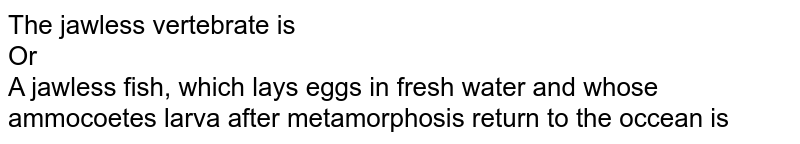 The jawless vertebrate is Or A jawless fish, which lays eggs in fresh water and whose ammocoetes larva after metamorphosis return to the occean is