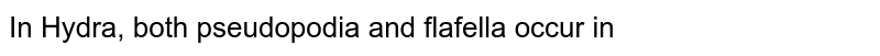 In Hydra, both pseudopodia and flafella occur in