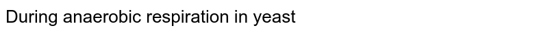During anaerobic respiration in yeast