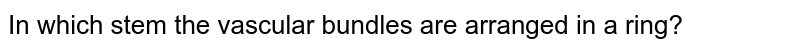 In which stem the vascular bundles are arranged in a ring?