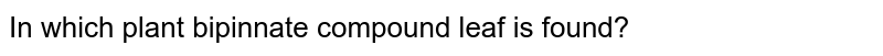 In which plant bipinnate compound leaf is found?