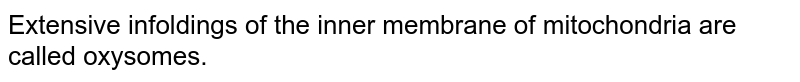 Extensive infoldings of the inner membrane of mitochondria are called oxysomes.