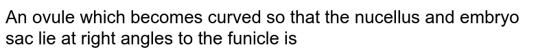 An ovule which becomes curved so that the nucellus and embryo sac lie at right angles to the funicle is