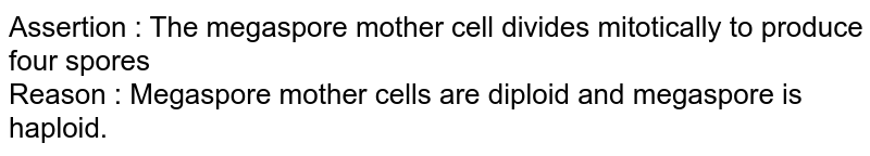 Assertion : The megaspore mother cell divides mitotically to produce four spores Reason : Megaspore mother cells are diploid and megaspore is haploid.
