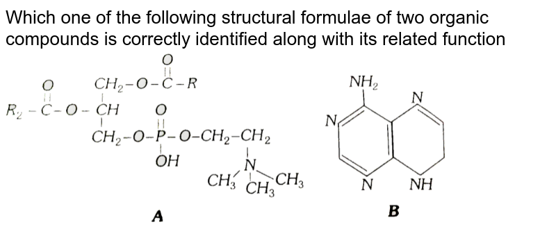 Which One Of The Following Structural Formulae Of Two Organic Com