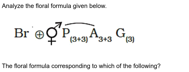 Analyze the floral formula given below. The floral formula corresponding to which of the following?