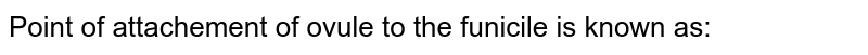 Point of attachement of ovule to the funicile is known as: