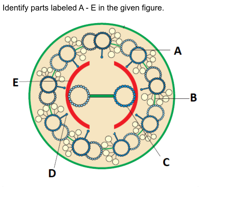 please identify the part indicated below