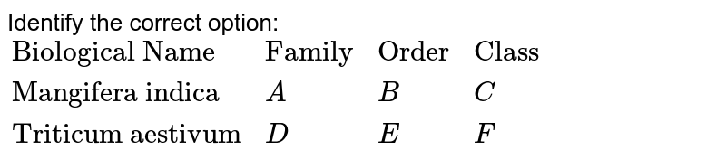 Identify the correct option: {:("Biological Name","Family", "Order", "Class"),("Mangifera indica",A,B,C),("Triticum aestivum",D,E,F):}