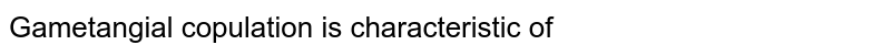 Gametangial copulation is characteristic of