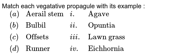 Match each vegatative propagule with its example : {:(,(a),"Aerail stem",i.,"Agave"),(,(b),"Bulbil",ii.,"Opuntia"),(,(c),"Offsets",iii.,"Lawn grass"),(,(d),"Runner",iv.,"Eichhornia"):}