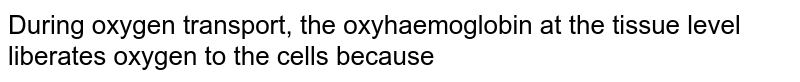 During oxygen transport, the oxyhaemoglobin at the tissue level liberates oxygen to the cells because