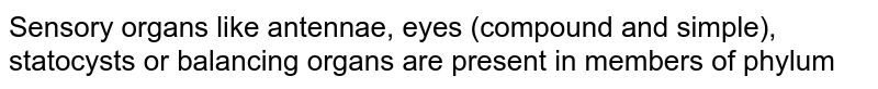 Sensory organs like antennae, eyes (compound and simple), statocysts or balancing organs are present in members of phylum