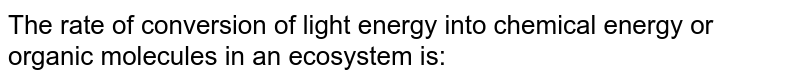 The rate of conversion of light energy into chemical energy or organic molecules in an ecosystem is: 