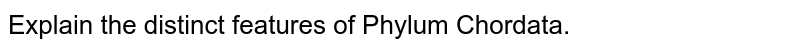 Explain the distinct features of Phylum Chordata.