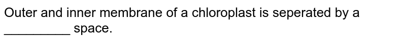 Outer and inner membrane of a chloroplast is seperated by a _________ space.