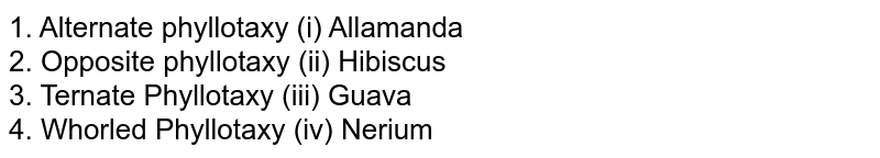1. Alternate phyllotaxy (i) Allamanda 2. Opposite phyllotaxy (ii) Hibiscus 3. Ternate Phyllotaxy (iii) Guava 4. Whorled Phyllotaxy (iv) Nerium