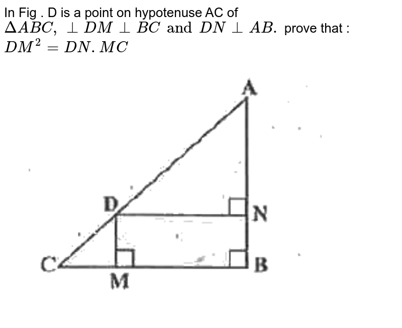 In Fig . D is a point on hypotenuse AC of DeltaABC, bot DM botBCand DNbot AB. prove that : DM^(2)=DN.MC