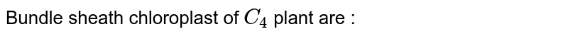 Bundle sheath chloroplast of `C_(4)` plant are : 