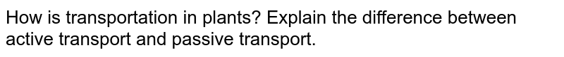 How is transportation in plants? Explain the difference between active transport and passive transport.