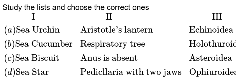 Study the lists and choose the correct ones {:(" I"," II"," III"),((a)"Sea Urchin","Aristotle's lantern","Echinoidea"),((b)"Sea Cucumber","Respiratory tree","Holothuroidea"),((c)"Sea Biscuit","Anus is absent","Asteroidea"),((d)"Sea Star","Pedicllaria with two jaws","Ophiuroidea"):}