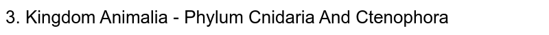 3. Kingdom Animalia - Phylum Cnidaria And Ctenophora