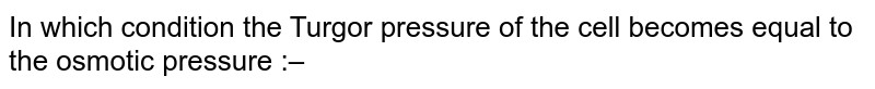 In which condition the Turgor pressure of the cell becomes equal to the osmotic pressure :–