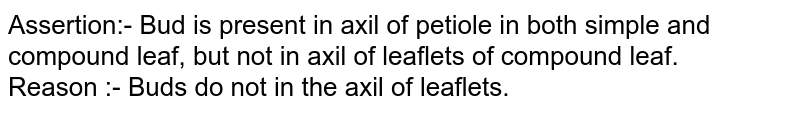 Assertion:- Bud is present in axil of petiole in both simple and compound leaf, but not in axil of leaflets of compound leaf. Reason :- Buds do not in the axil of leaflets.