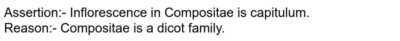 Assertion:- Inflorescence in Compositae is capitulum. Reason:- Compositae is a dicot family.
