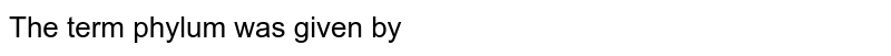 The term phylum was given by
