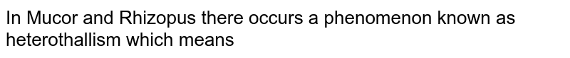 In Mucor and Rhizopus there occurs a phenomenon known as heterothallism which means