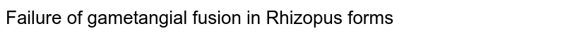 Failure of gametangial fusion in Rhizopus forms