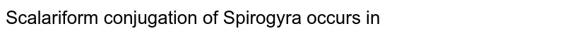 Scalariform conjugation of Spirogyra occurs in