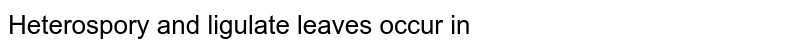 Heterospory and ligulate leaves occur in