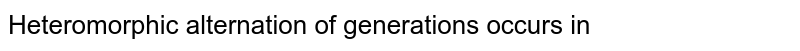Heteromorphic alternation of generations occurs in
