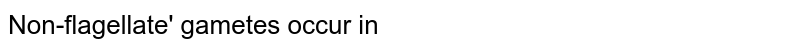 Non-flagellate' gametes occur in