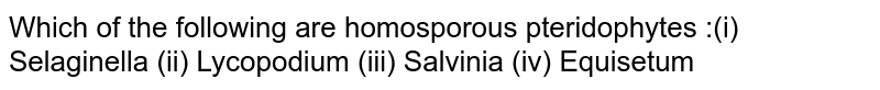 Which of the following are homosporous pteridophytes :(i) Selaginella (ii) Lycopodium (iii) Salvinia (iv) Equisetum