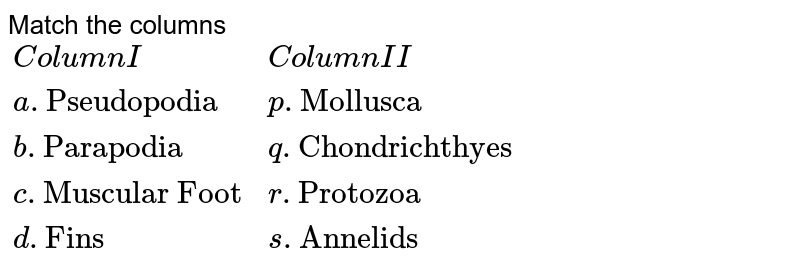 Match the columns {:(Column I,ColumnII),(a."Pseudopodia",p."Mollusca"),(b."Parapodia",q."Chondrichthyes"),(c."Muscular Foot",r."Protozoa"),(d."Fins",s."Annelids"):}