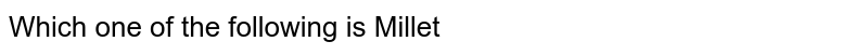Which one of the following is Millet