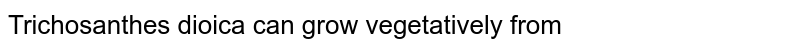 Trichosanthes dioica can grow vegetatively from