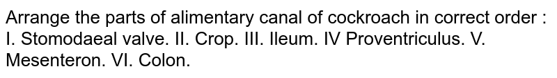 Arrange the parts of alimentary canal of cockroach in correct order : I. Stomodaeal valve. II. Crop. III. Ileum. IV Proventriculus. V. Mesenteron. VI. Colon.