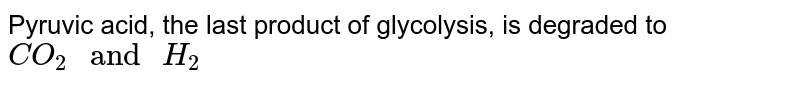 Pyruvic acid, the last product of glycolysis, is degraded to CO_(2)" and "H_(2)