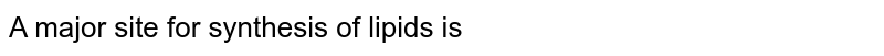 A major site for synthesis of lipids is