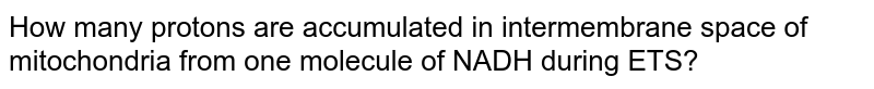 How many protons are accumulated in intermembrane space of mitochondria from one molecule of NADH during ETS?